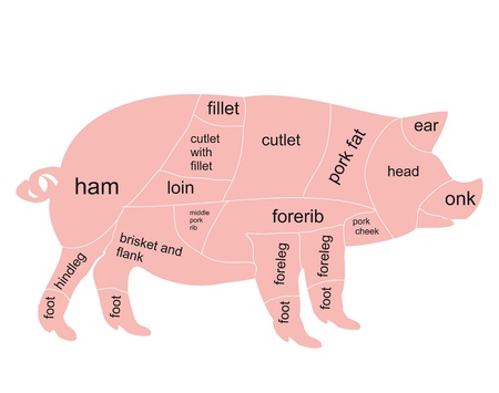 pork chart のイラスト素材