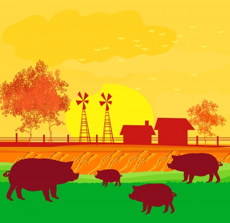 Herd of pigs on nature backgroundのイラスト素材