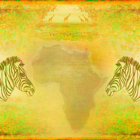 Zebra, Hand drawn sketch illustration, grunge background の写真素材