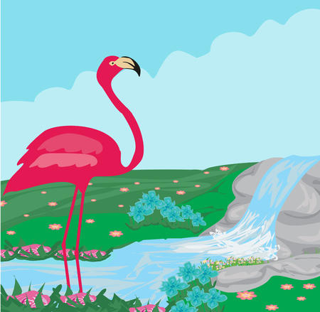 pink flamingo in the waterのイラスト素材