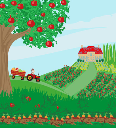 Rural landscape with tree,  tractor and greenery field illustration.のイラスト素材