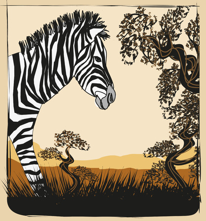 Wild africa card with zebraのイラスト素材