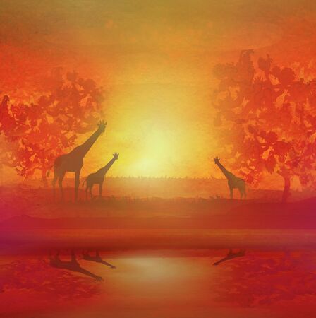 illustration of wild giraffes in African savanna.の写真素材