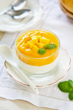 Mango yogurtの写真素材