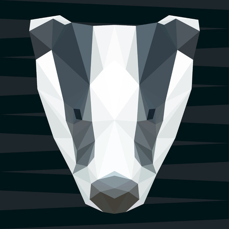Abstract polygonal geometric triangle badger background for use in design for card, invitation, poster, banner, placard or billboard coverのイラスト素材