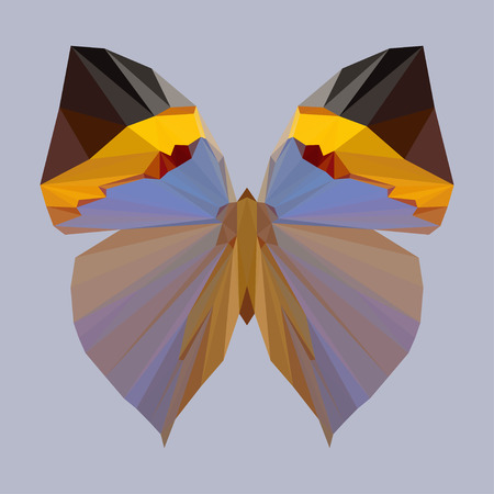 bright vector polygonal butterfly geometric background for use in design for card, invitation, poster, banner, placard or billboard coverのイラスト素材