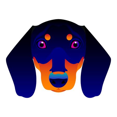 Abstract dachshund dog head isolated on white. Graphic cartoon dachshund dog portrait painted in imaginary colors for design card, invitation, banner, book, scrapbook, t-shirt, poster etc.のイラスト素材