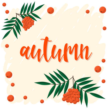 Autumn. Hand drawn lettering and autumn rowan for design card, school poster, childish t shirt, autumn banner, scrapbook, album, school wallpaper etcのイラスト素材