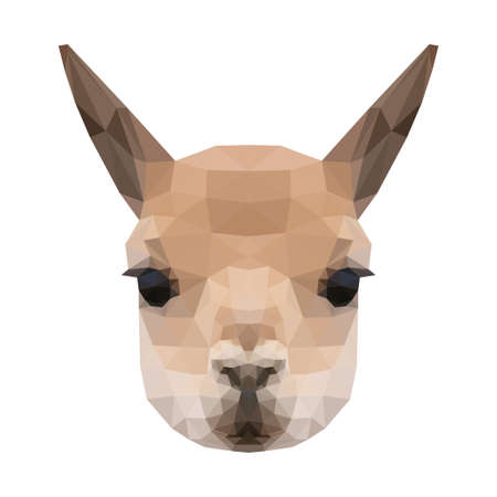 Abstract polygonal llama head. Modern low poly lovely llama portrait patternのイラスト素材