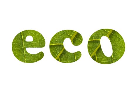 ecoの写真素材