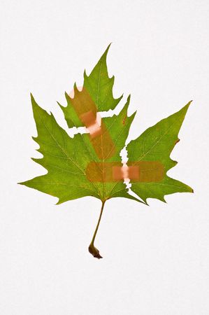 Abstract idea for saving the nature