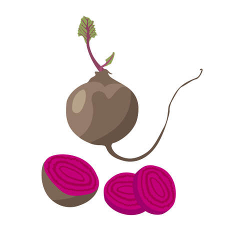 Set of beetroot and its slicesのイラスト素材