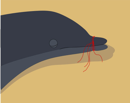 Dead or sick dolphin with face wrapped by plastic trash treads. Poor marine mammal suffering from ocean pollution.のイラスト素材