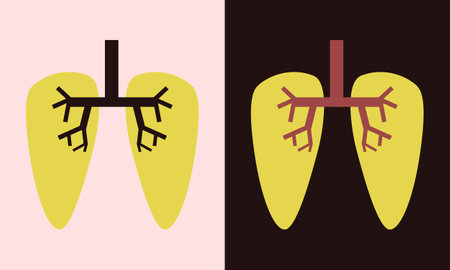 minimal cartoon drawing of human lungs on light and dark backgroundのイラスト素材
