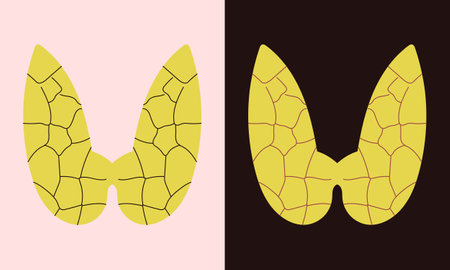 Thyroid. Human organ isolated on white and black background. Element for medical infographic and charts.のイラスト素材