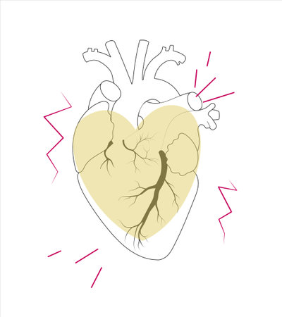 Human heart with cardiogram zigzag lines and heart geometric shape in trendy minimal line style for decoration  design.のイラスト素材