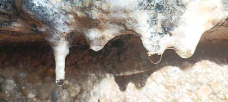 Close up macro shot of stalactites growth with hanging drops