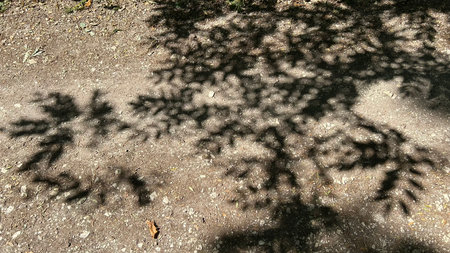 Background of branches and leaves on brown ground in the forest. High quality photo