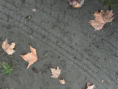 Natural ground texture. Tires track pattern on the moist soil, outdoor car activity. Grungy...