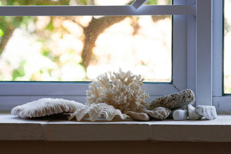 Spa and wellness setting on the windowsill with sea shells and stonesの写真素材