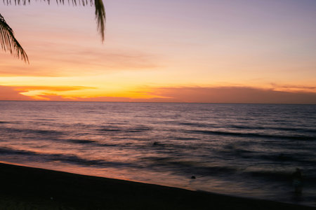 Silhouette of palm tree on the beach at sunset time.