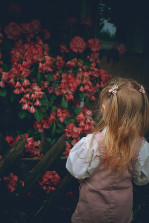 Little girl in the garden with pink flowers. Retro style photo.の写真素材