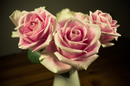 Bunch of roses close upの写真素材
