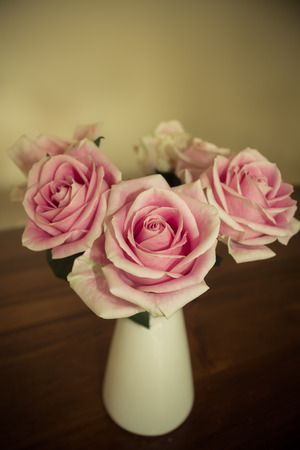 vase with bunch of roses in soft lightの写真素材