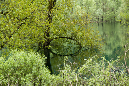 Lake Ledro near Lake Garda, Trentino, Italyの写真素材