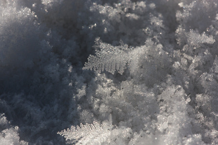Close-up of hoarfrostの写真素材