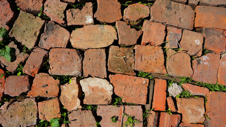 Background broken bricks with cracks sprouting in the green grassの写真素材