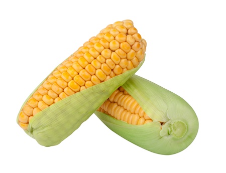 Corn in cob