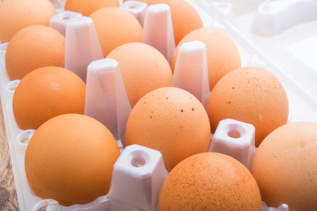 Chicken brown egg