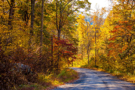 Fall seasonの写真素材