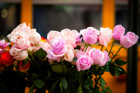 Rosesの写真素材