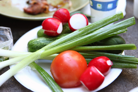 Spring vegetables on the plateの写真素材