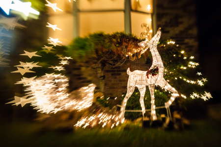 Christmas lightsの写真素材
