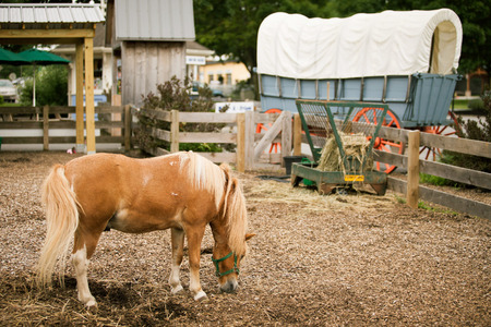 Country lifeの写真素材
