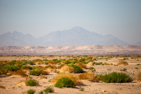 Desert viewの写真素材