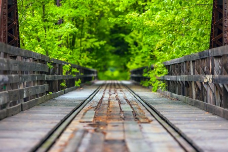 Railroad in the woodの写真素材