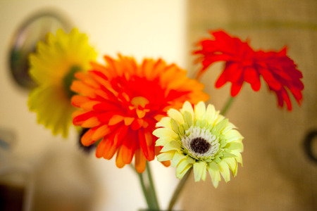 flowers boquet red and yellowの写真素材