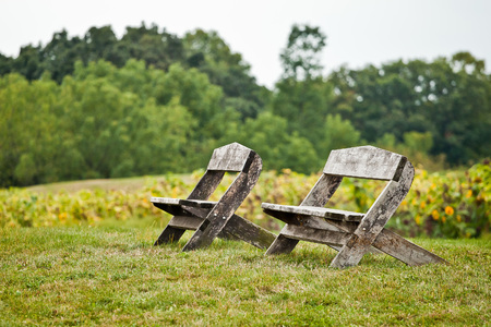 Empty benches in the parkの写真素材