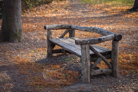 Empty bench in the parkの写真素材