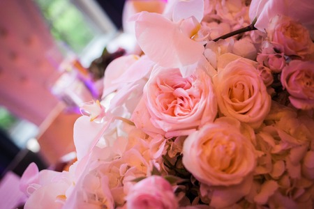 bunch of rosesの写真素材