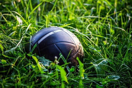 Volleyball in the grass summer outdoorsの写真素材
