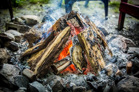 nature camp fire with woodの写真素材