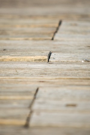 Old wooden floor for textureの写真素材