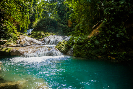 Jamaica tropical waters green paradiseの写真素材
