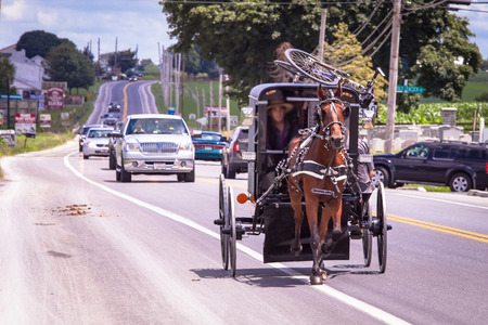 Amish transport horses in USAの写真素材