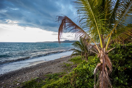 Jamaica tropical waters green paradiseの写真素材